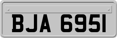 BJA6951
