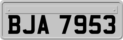 BJA7953