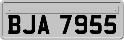BJA7955