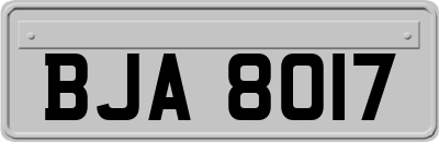 BJA8017