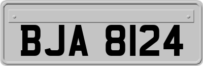 BJA8124