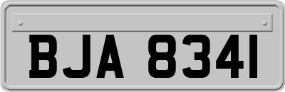 BJA8341