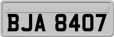 BJA8407