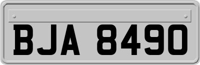 BJA8490