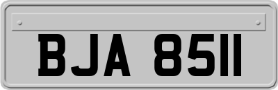 BJA8511