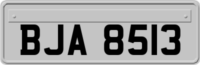 BJA8513