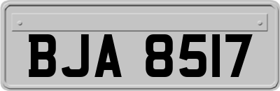 BJA8517