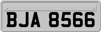 BJA8566