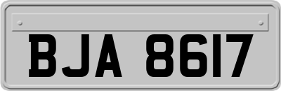 BJA8617