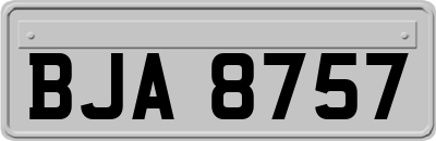BJA8757