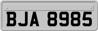 BJA8985