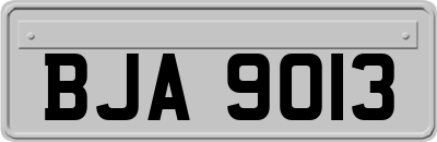 BJA9013