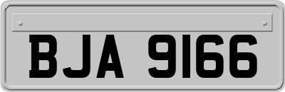 BJA9166