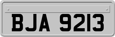 BJA9213