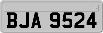 BJA9524