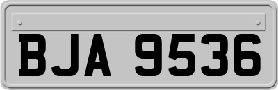 BJA9536