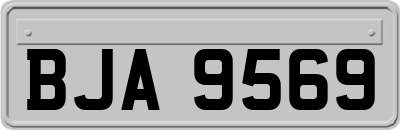 BJA9569