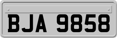 BJA9858