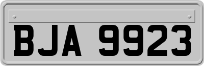 BJA9923