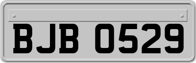 BJB0529