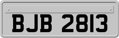 BJB2813