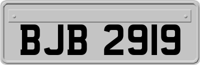 BJB2919