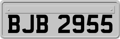 BJB2955