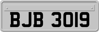 BJB3019