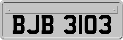 BJB3103