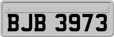 BJB3973
