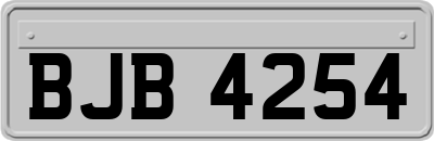 BJB4254