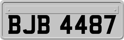 BJB4487