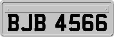 BJB4566