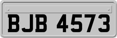 BJB4573