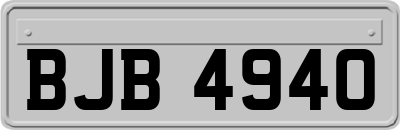 BJB4940