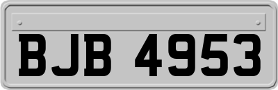 BJB4953