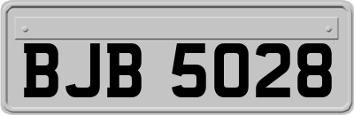 BJB5028