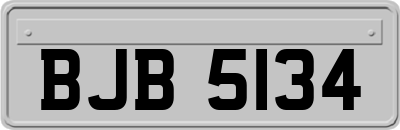 BJB5134