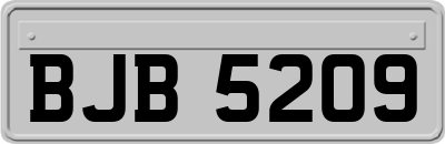 BJB5209