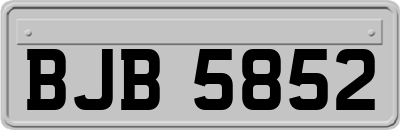 BJB5852