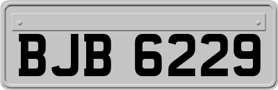 BJB6229