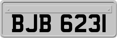 BJB6231