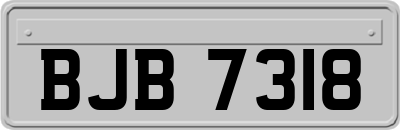 BJB7318