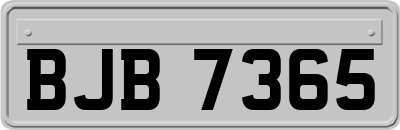 BJB7365