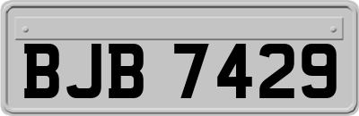 BJB7429