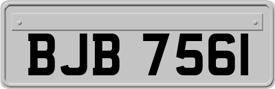 BJB7561
