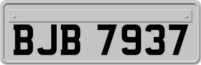 BJB7937