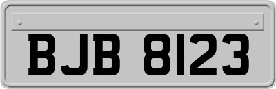 BJB8123