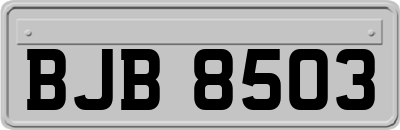 BJB8503