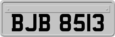 BJB8513